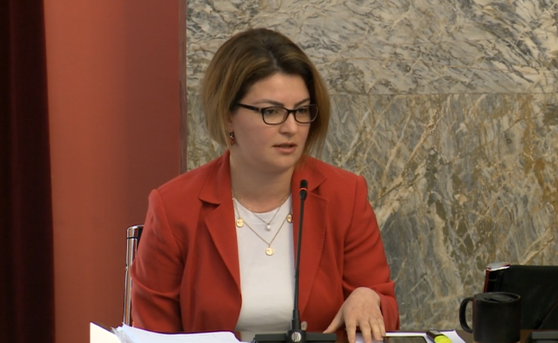 "რატომ დასანქცირდნენ მოსამართლეები, თუ მარტო ჩიტები და პეპლები დაფრინავენ სასამართლოში" - დებატები პარლამენტში