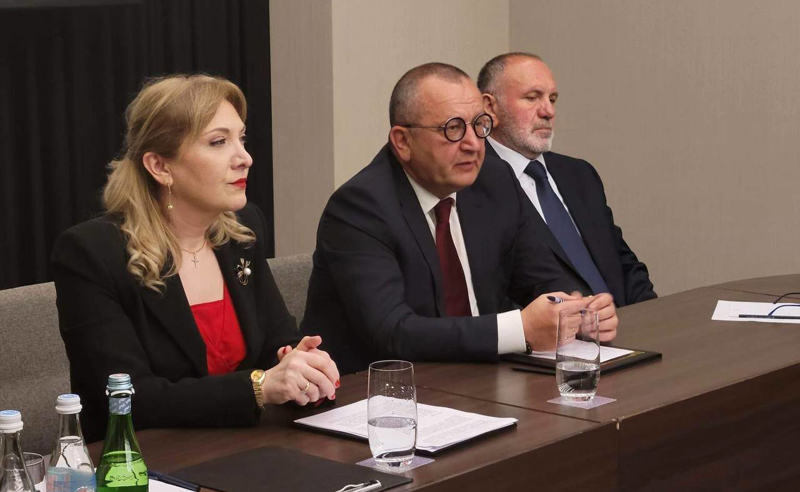 „ქალები ეროვნული სოციალური პოლიტიკისთვის“  - „საქართველოს ქალთა პარტიამ"  "ტრიბუნას" მხარდაჭერით კონფერენცია გაიმართა 