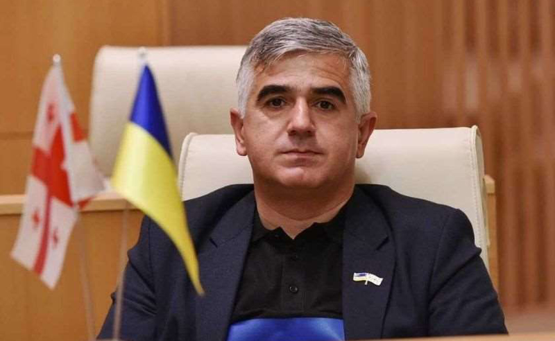 არავის გარიცხვას ვგეგმავთ, ნიკა მელიამ საკუთარი თავი თვითონ გარიცხა პარტიიდან - ბოტკოველი
