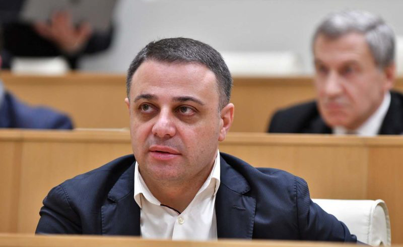 პრეზიდენტი ტელეკამერების წინ ვეტოს ისე იქნევს, როგორც ხმალს - ალუდა ღუდუშაური