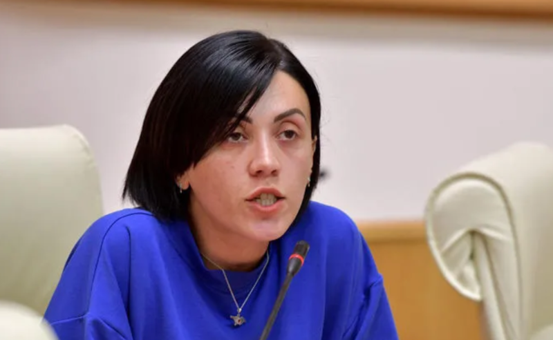 ვერ ვხედავ მათ ადგილს ფრაქცია "ნაციონალურ მოძრაობაში" - წითლიძე დეპუტატებზე