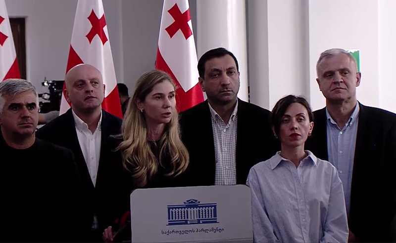 მივიღეთ გადაწყვეტილება, რომ ფრაქციის დატოვებასთან დაკავშირებით განცხადებას გააკეთებდნენ - ბოკუჩავა