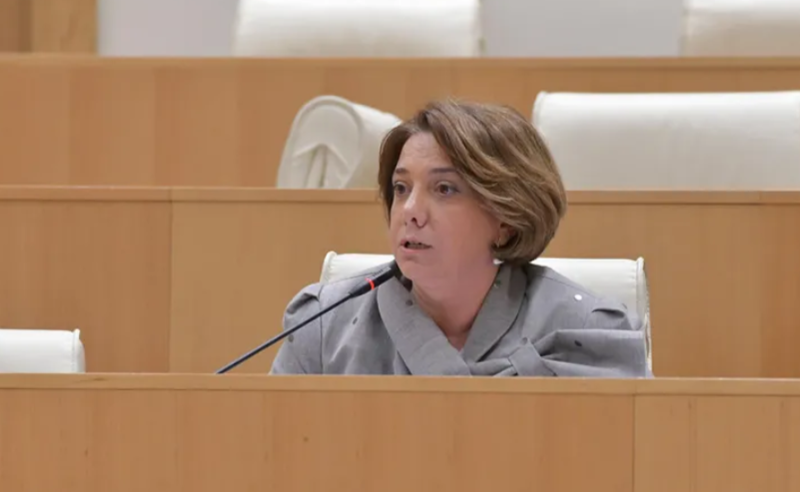 გაუბედეთ ქართულ პოლიციას და რუსული ინტერესების დასაცავად გამოიყვანეთ - სამადაშვილი გომელაურს