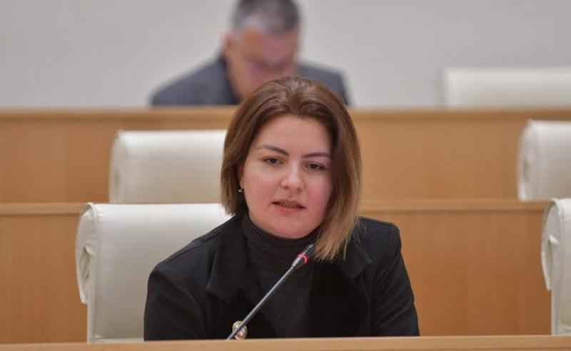 საქართველოს სუვერენიტეტის საბოტაჟია - ნაცვლიშვილი რუსეთთან ფრენების აღდგენაზე