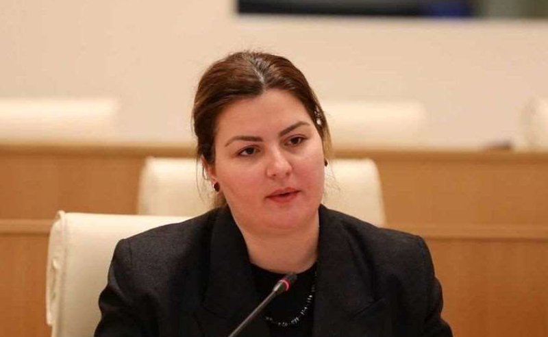 "ყალბი, ბუტაფორული პროცესია" - ნაცვლიშვილის შალელაშვილის მიერ პარტიის შექმნაზე