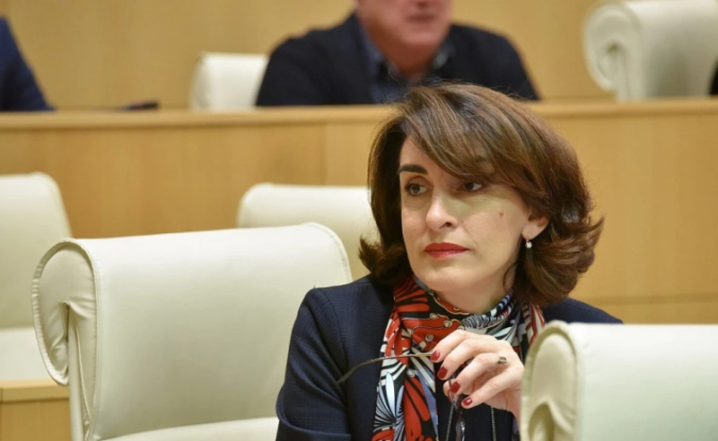პრეზიდენტის დღევანდელ გზავნილებს ვერ გავიზიარებ - მაკა ბოჭორიშვილი