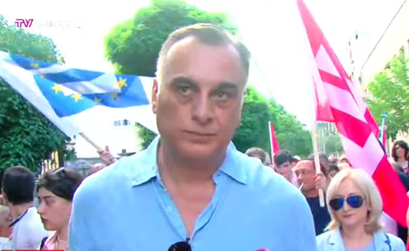 რას ელოდება სალომე ზურაბიშვილი, გვარამია უნდა გათავისუფლდეს უკანონო პატიმრობიდან - ზაალ უდუმაშვილი