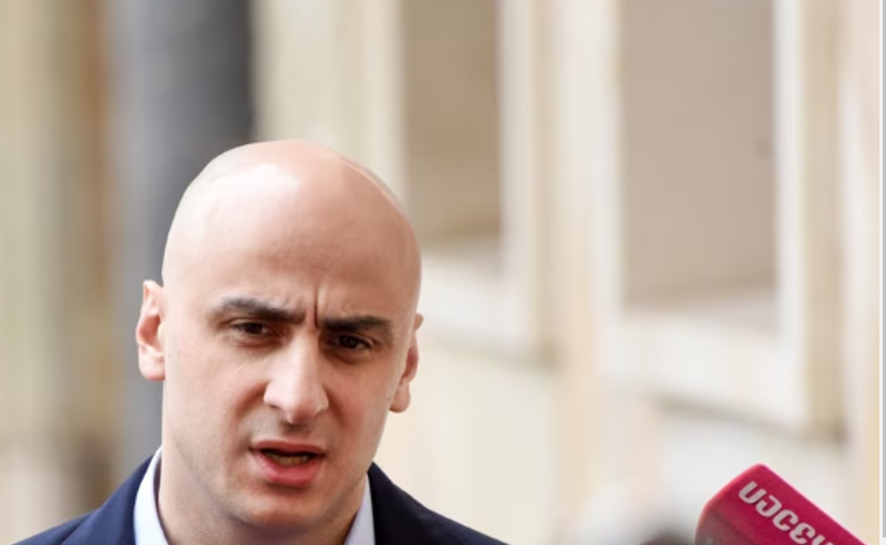 "როცა მე ვიყავი იქ, სადაც ახლა ნიკა გვარამიაა, ის აკეთებდა ყველაფერს ჩამი თავისუფლებისთვის!" - მელია აქციას შეუერთდა