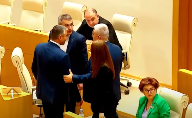 გინება და ჩხუბი პარლამენტში - პარტნიორების დემარში ოპოზიციასა და"ოცნებას" შორის დაპირისპირების მიზეზი გახდა