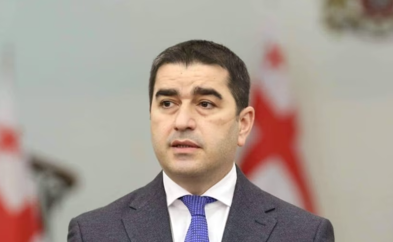 შალვა პაპუაშვილის თავდასხმა ოპოზიციასა და სამოქალაქო სექტორზე