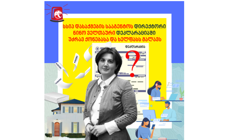 დასაქმების სახელმწიფო სააგენტოს დირექტორი უძრავ ქონებასა და ხელფასს მალავს - TI