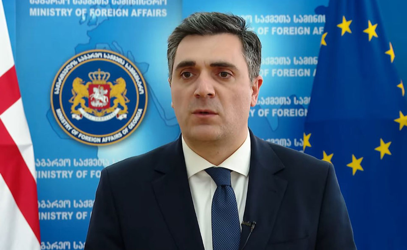 "მავნებლური ისტერია" - ილია დარჩიაშვილი ირწმუნება, რომ პრემიერი ბერლინში სამუშაო ვიზიტით მიდის