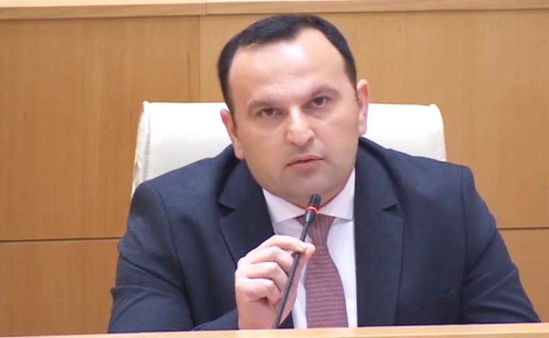 ცრუ ხმაური და ყურადღების გადატანის კამპანიაა - მანჯგალაძე "ოცნების" განცხადებაზე