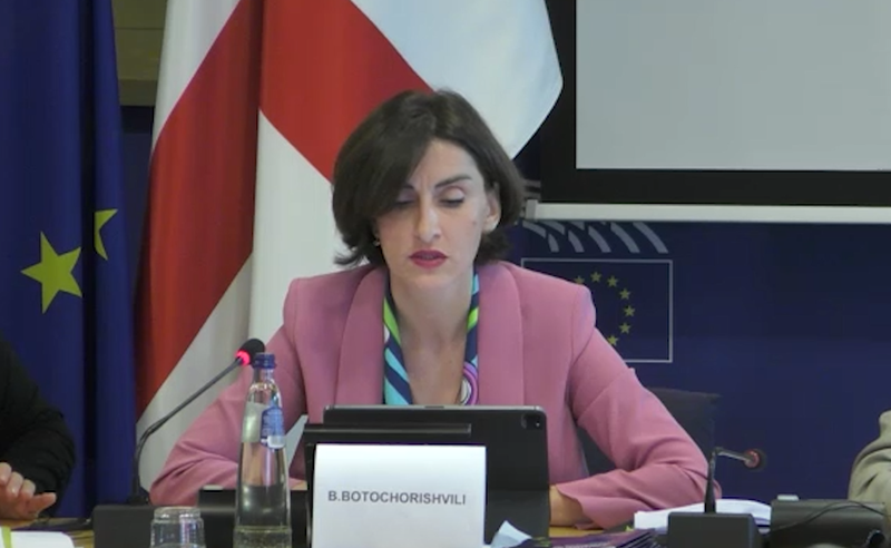 როდესაც საქართველოს უკრაინასა და მოლდოვასთან ერთად არ მიენიჭა კანდიდატის სტატუსი, ამან სპეკულაციები გამოიწვია - ბოჭორიშვილი