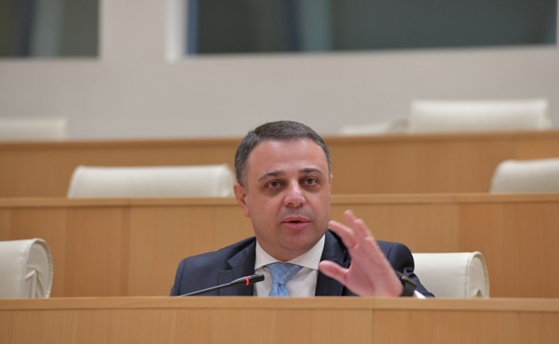 ცხრა კალიურანდმა რომ თქვას იგივე, მის სიტყვებს ნოლის ფასი აქვს - ღუდუშაურის თავდასხმა ევროპარლამენტარზე