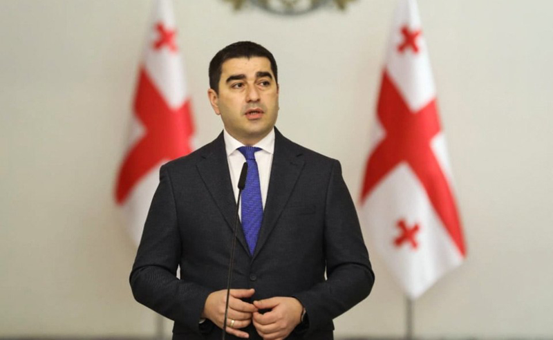 ზოგიერთი ევროპარლამენტარი კვლავ აგრძელებს Free misha-ს კამპანიას - პაპუაშვილი