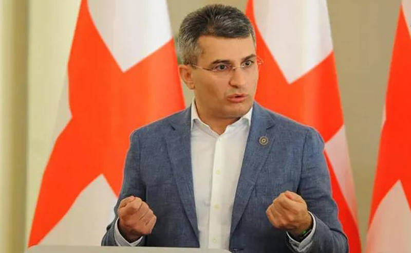 LGBT წარმომადგენლებს პოლიტიკურ იარაღად იყენებენ - მდინარაძე შვილების თაობის წინააღმდეგ