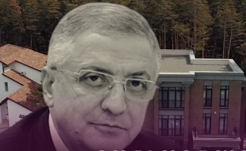 "მათი მონარჩენი საკვები უნდა მეჭამა" - მონობა "ოცნების" მილიონერი დეპუტატის სახლში