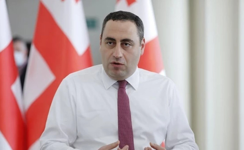 "ოცნების" მიერ 12 პუნქტის ცრუ, ფეიკური შესრულება, მიუღებელია - გიორგი ვაშაძე