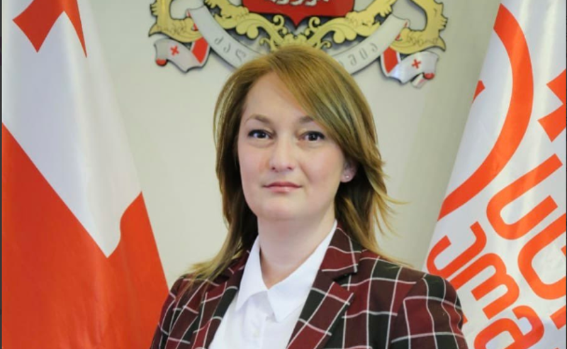 “მორალი და ღირსება არც ასაკთან ერთად მოდის, არც არსად მიდის“ - ნანა ტოხვაძე