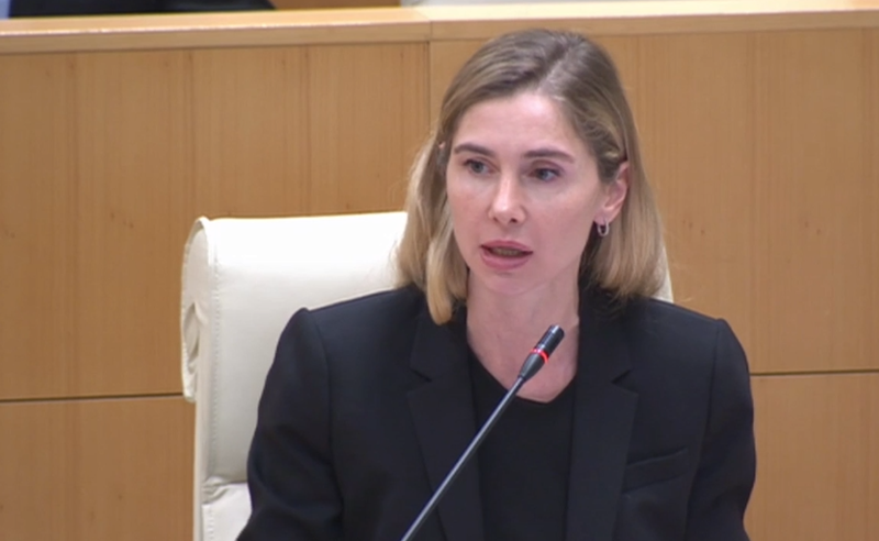 ქვეყნის მთავარი ოლიგარქი ივანიშვილი იყენებს უკანონო მეთოდებს, რომ აკონტროლოს ყველა და ყველაფერი - ბოკუჩავა