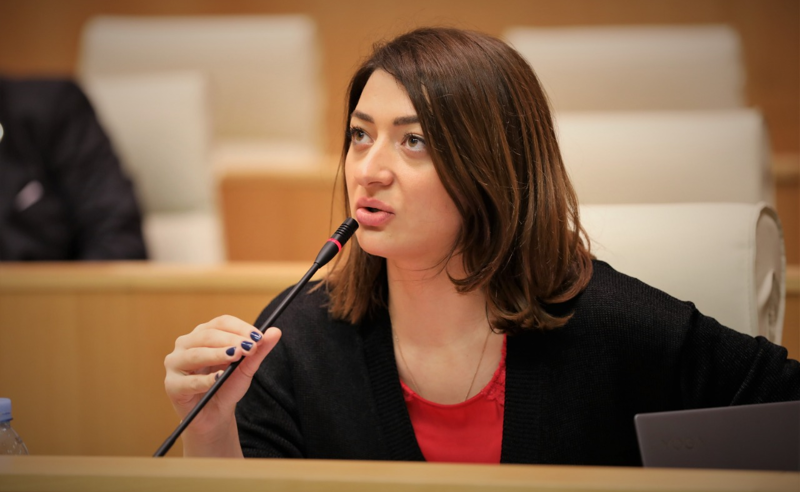 თუკი ვინმეს კოალიცია აქვს შექმნილი ნაცმოძრაობასთან, ეს ქართული ოცნებაა - ბუჩუკური