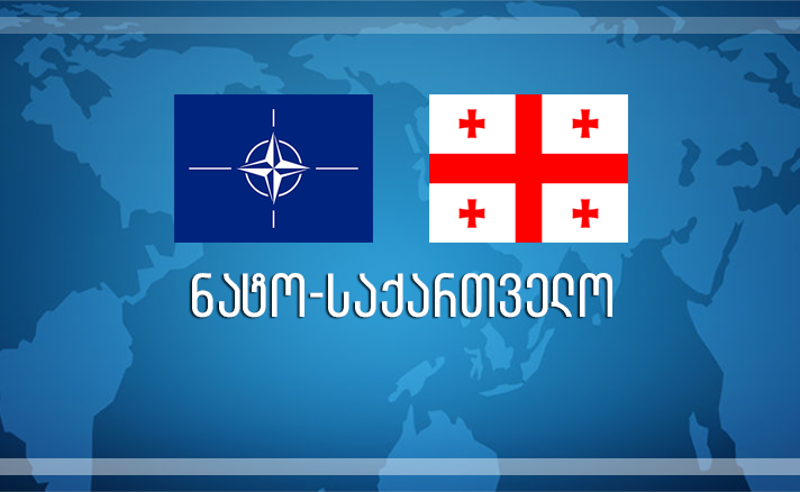 ნატოს წევრობა არის საქართველოს დამოუკიდებლობის ინსტრუმენტი - ოპოზიციის ერთობლივი მიმართვა ნატოს წევრ ქვეყნებს
