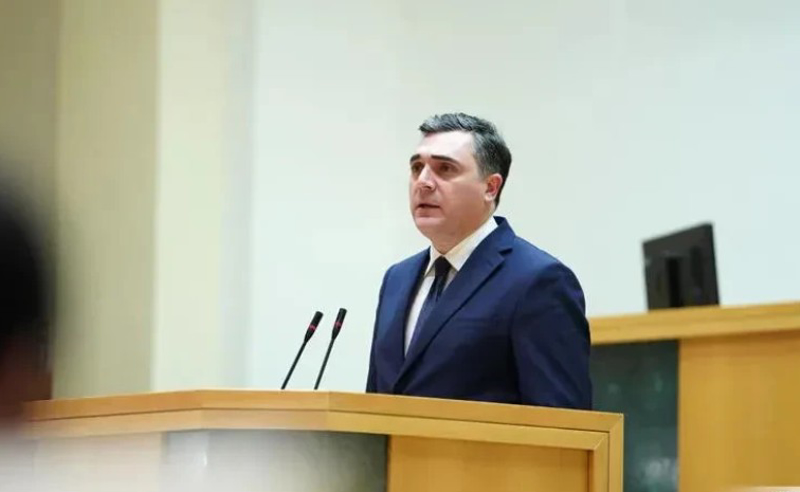 საგარეო საქმეთა მინისტრის მძიმე დღე - დარჩიაშვილის მოსმენამ პარლამენტში ხმაურის ფონზე ჩაიარა
