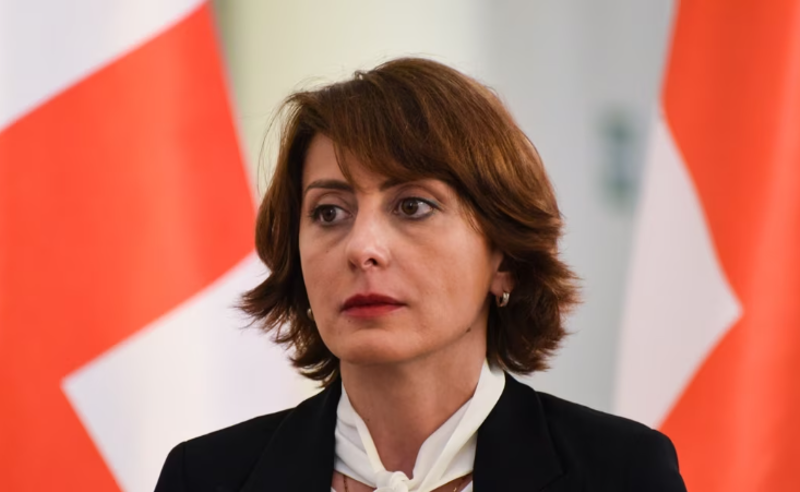 პრეზიდენტმა პოლიტიკური პასუხისმგებლობა უნდა აიღოს და გვარამია გაათავისუფლოს - დეკანოიძე