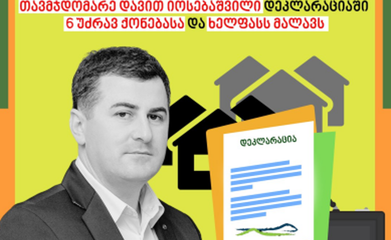 დაცული ტერიტორიების სააგენტოს თავმჯდომარე დეკლარაციაში 6 უძრავ ქონებასა და ხელფასს მალავს