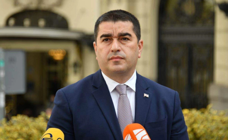 ეროვნული ბანკის საბჭომ თავად მიიღო გადაწყვეტილება, ვინ იქნებოდა პირველი ვიცე-პრეზიდენტი - პაპუაშვილი