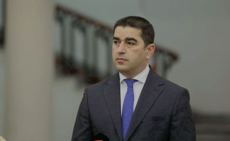 საქართველოს კანდიდატის სტატუსის უარყოფა არ იყო დამსახურებაზე დაფუძნებული გადაწყვეტილება - პაპუაშვილი