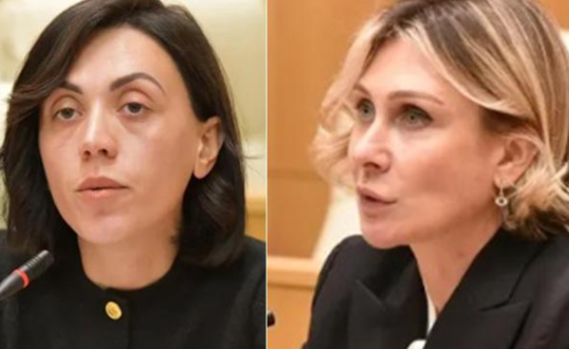 ნინო ძვირფასო, თქვენი მუქარები ფეხებზე მკიდია - წითლიძე წილოსანს
