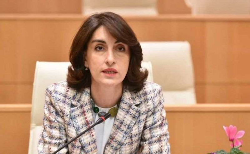 რატომ უნდა ელოდოს სანქციებს ჩვენი ქვეყანა? რა კითხვაა ეს? - მაკა ბოჭორიშვილი