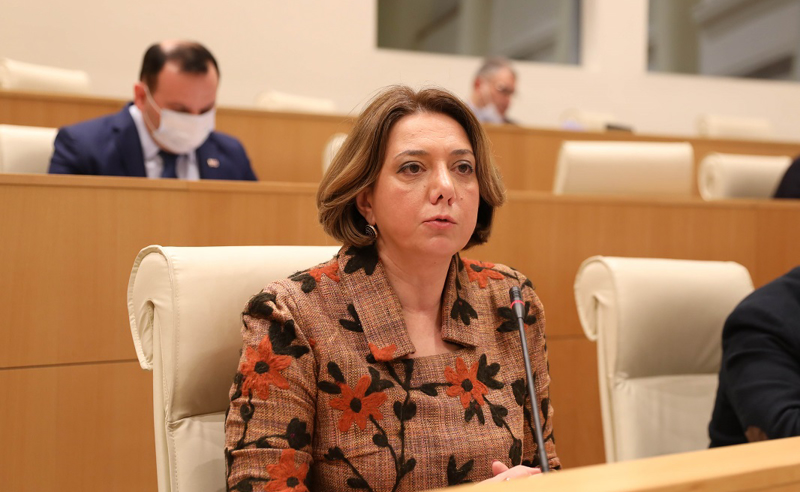 ჩვენ არ ველოდებით არანაირ პასუხს რუსული ხელისუფლების მეთაურისგან - სამადაშვილი პრემიერის ანგარიშზე