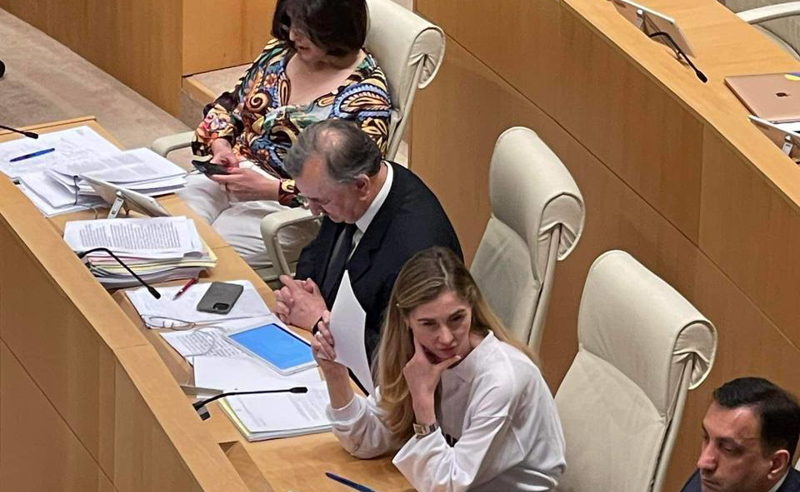 თეთრი ფურცელი სხდომათა დარბაზში - თინა ბოკუჩავას პროტესტი 
