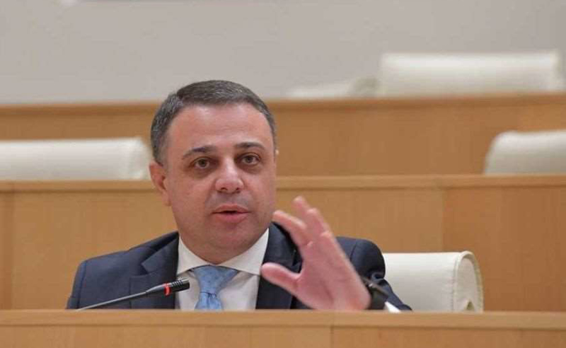ამ ცრუპენტელებს საერთოდ არცერთი რეკომენდაციის შესრულებაში არ მიუღიათ მონაწილეობა - ალუდა ღუდუშაური
