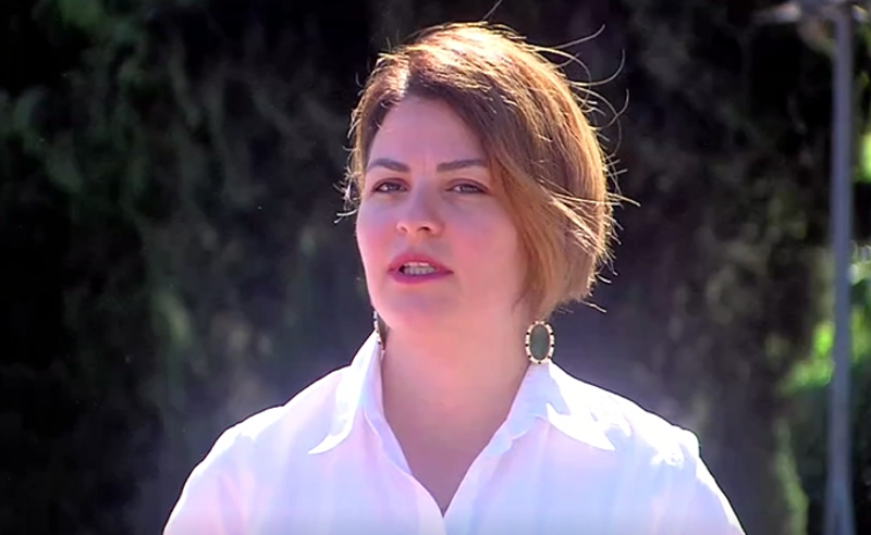 „ეს იყო ზიზღის ტირაჟირება" - ნაცვლიშვილი პრემიერის ანგარიშზე