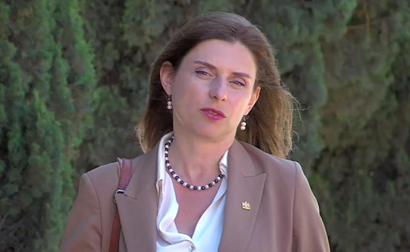 "ოცნების" ქალი დეპუტატების არმოსვლა, კიდევ ერთი დემარშია საქართველოს საგარეო ვექტორის წინააღმდეგ - აქუბარდია
