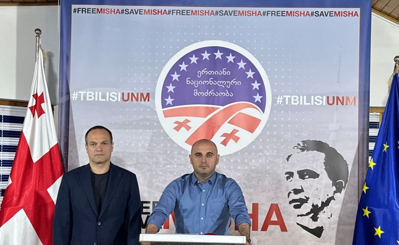 ოცნებას აქვს შანსი, მიიღოს სწორი გადაწყვეტილება და სააკაშვილი გაათავისუფლოს - ხაბეიშვილის საგანგებო მიმართვა