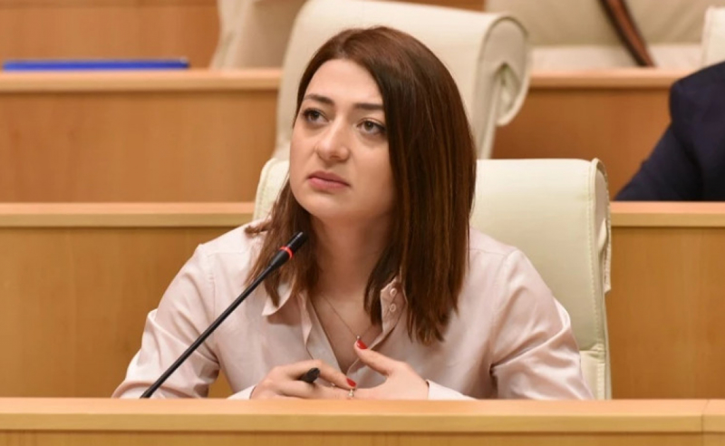 ირაკლი კობახიძის ნათქვამის მიმართ ნდობა თავად ირაკლი კობახიძეს არ აქვს - ანა ბუჩუკური