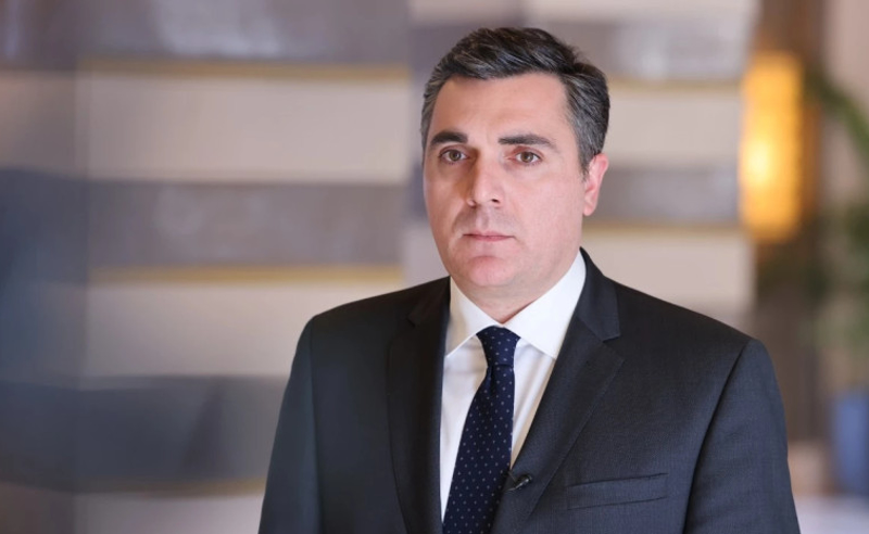 რეაგირება არ გვექნება, ელჩი უკრაინიდან საქართველოში  უახლოეს პერიოდში დაბრუნდება - დარჩიაშვილი