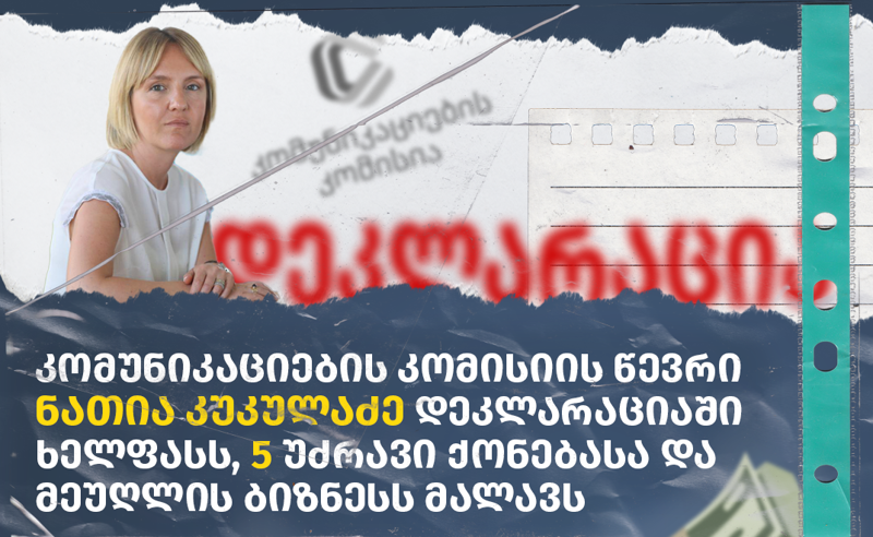 კომუნიკაციების კომისიის წევრი, ნათია კუკულაძე დეკლარაციაში ხელფასს, 5 უძრავი ქონებასა და მეუღლის ბიზნესს მალავს