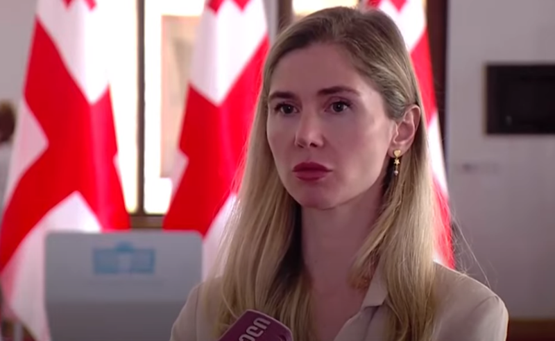 ივანიშვილი ასეთი ნაბიჯებით პუტინს ერთგულებას უმტკიცებს - ბოკუჩავა სერგეენკოს შესაძლო გაძევებაზე 