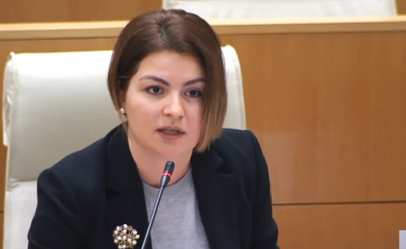 არ მახსოვს კობახიძე ოდესმე შეწუხებულიყოს და შეემჩინოს ეს ფიზიკური შიმშილი, რომელმაც წალეკა ეს ქვეყანა - ანა ნაცვლიშვილი