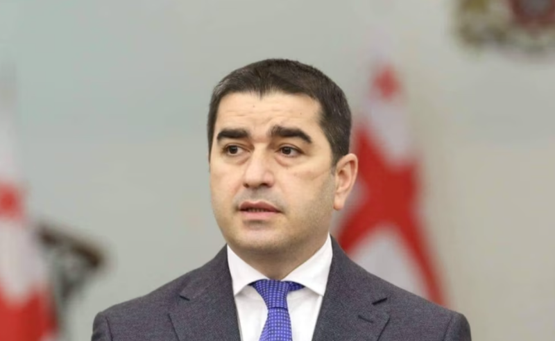 სამარცხვინოა, იმედი მაქვს, რომ მალე მოხდება გასაუბრება პოლონეთის ელჩთან - პაპუაშვილი პოლონელ მედიკოსზე