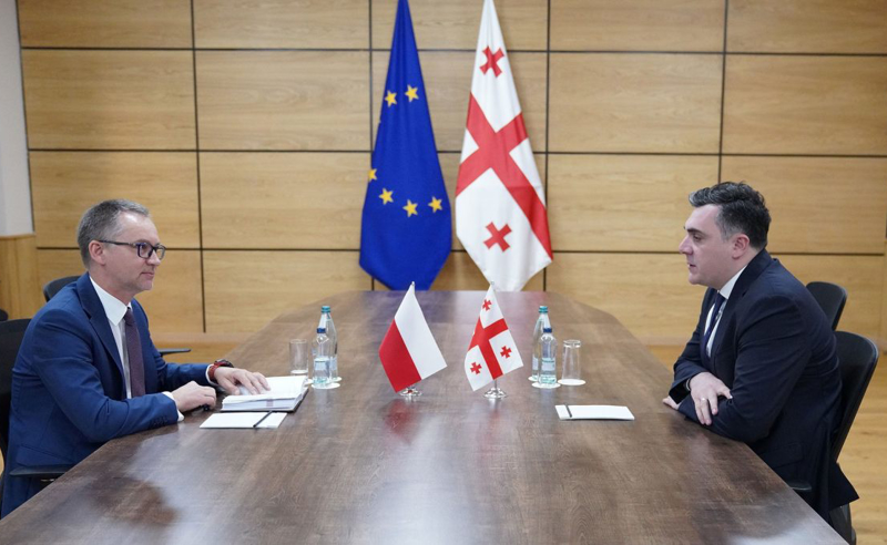 პოლონელი მედიკოსის  საქციელი იწვევს გაუგებრობას, შეშფოთებას და სანდოობას უკარგავს მთელს პროცესს - საგარეო