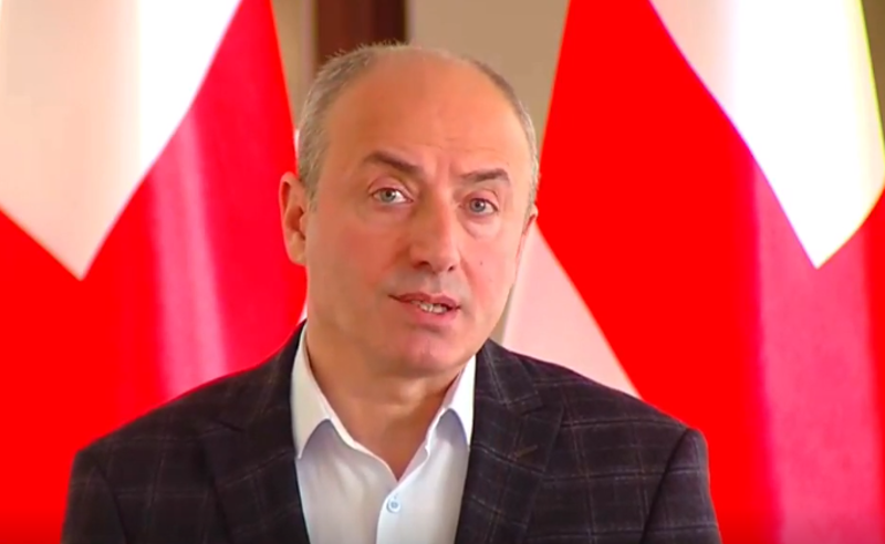 პოლონელი ექიმის ანტიჰუმანურმა და ანტიპროფესიულმა ქმედებამ პროვოკაციებს წერტილი დაუსვა - მაჭარაშვილი 