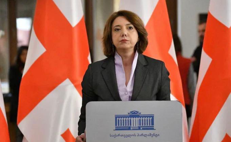 ხელისუფლება ემსახურება რუსეთს და არა ქართველ ხალხს -  სალომე სამადაშვილი