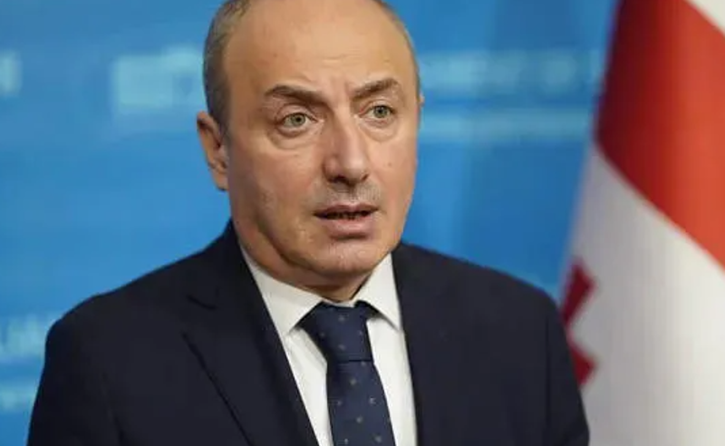 უსამშობლო ადამიანია, არც უკრაინა ადარდებს და არც საქართველო - მაჭარაშვილი არახამიაზე 
